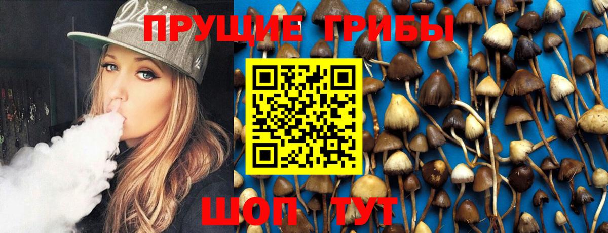 Галлюциногенные грибы Magic Shrooms Биробиджан